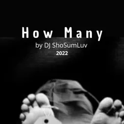 How Many - Single by DJ ShoSumLuv album reviews, ratings, credits