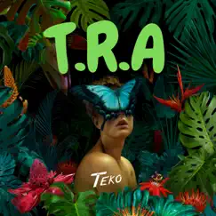 T.R.A - Single by Teko album reviews, ratings, credits