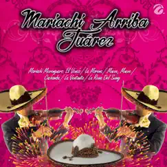 Mariachi Merenguero - Single by Mariachi Arriba Juárez album reviews, ratings, credits