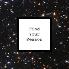 Find Your Reason Song Lyrics