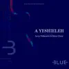 A Yeshieleh (feat. Levy Falkowitz & Shira Choir) - Single album lyrics, reviews, download