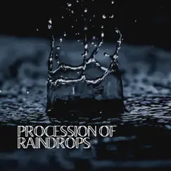 Procession of Raindrops by Rain Sounds ACE album reviews, ratings, credits
