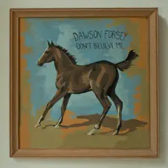 Don't Believe Me - Single by Dawson Forsey album reviews, ratings, credits
