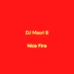 Nice Fire - Single by DJ Mauri B album reviews, ratings, credits