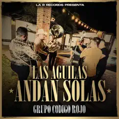 Las Aguilas Andan Solas (En Vivo) Song Lyrics