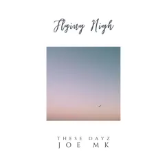 Flying High - Single (feat. These Dayz) - Single by Joe MK album reviews, ratings, credits