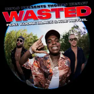 Wasted (feat. Kodak Black & Koe Wetzel) - Single by Diplo album download