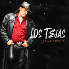 Cumbia Buena - Single by Los Tejas album reviews, ratings, credits