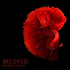 Beloved - Single by Stephan Ziron album reviews, ratings, credits