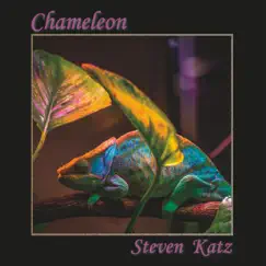 Chameleon by Steven Katz album reviews, ratings, credits