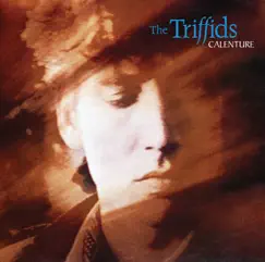 Calenture by The Triffids album reviews, ratings, credits