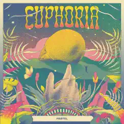 Euphoria - Single by Pastel album reviews, ratings, credits