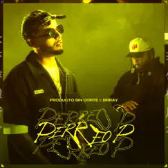 Perreo P - Single by Brray & Producto Sin Corte album reviews, ratings, credits