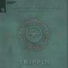 Trippin (feat. Davina Malek) - Single album lyrics, reviews, download