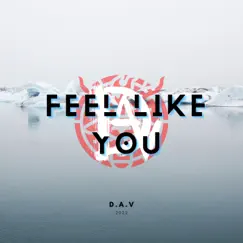 Feel Like You - Single by D.A.V Productions album reviews, ratings, credits