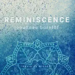 Reminiscence (Theme by Johannes Bornlöf) Song Lyrics