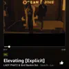 Elevating (feat. Bird Bankin Boi) - Single album lyrics, reviews, download