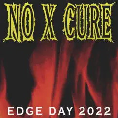 Firestorm - Single by No Cure album reviews, ratings, credits