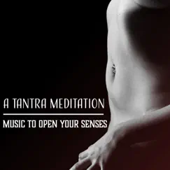 A Tantra Meditation: Music to Open Your Senses, Ultimate Sex Tantric Deep Relaxation & Massage, Spiritual Sensuality by Tantric Music Masters album reviews, ratings, credits