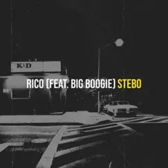 RICO (feat. BIG BOOGIE) [Radio Edit] Song Lyrics