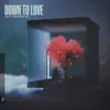 Down to Love (feat. Jonathan Mendelsohn) - Single album lyrics, reviews, download