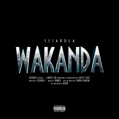 Wakanda Song Lyrics