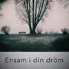 Ensam i din dröm (feat. Lys) - Single album lyrics, reviews, download