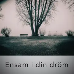 Ensam i din dröm (feat. Lys) Song Lyrics