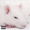 Lab Rat - Single album lyrics, reviews, download