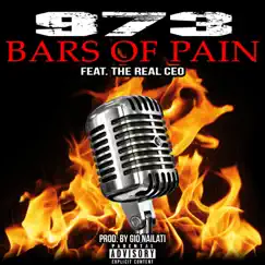 Bars of Pain (feat. The Real CEO) - Single by 973 album reviews, ratings, credits