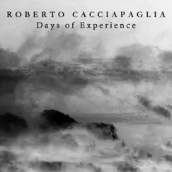 Days of Experience - Single by Roberto Cacciapaglia album reviews, ratings, credits
