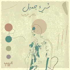 Something Beautiful - Single by Ghareeb album reviews, ratings, credits