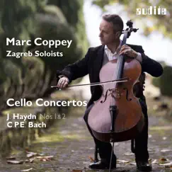 Cello Concerto No. 1 in C Major, Hob. VIIb:1: I. Moderato Song Lyrics