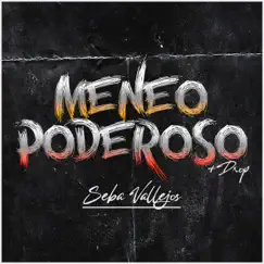Meneo Poderoso - Single by DJ Seba Vallejos album reviews, ratings, credits