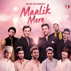 Maalik Mere - Single by Raj Pandit, Vipul Mehta, Salman Ali & Salim-Sulaiman album reviews, ratings, credits