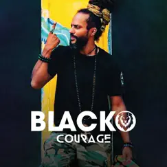Courage - Single by Blacko album reviews, ratings, credits