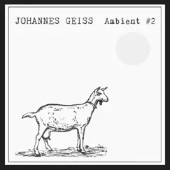 Ambient #2 by Johannes Geiss album reviews, ratings, credits
