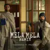 Mela Mela (Remix) - Single album lyrics, reviews, download