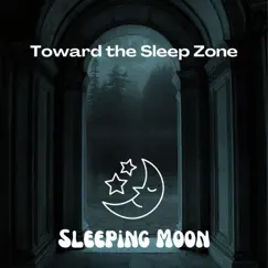 Toward the Sleep Zone by Sleeping Moon, Instrumental Sleeping Music & Sleep Music Healing album reviews, ratings, credits