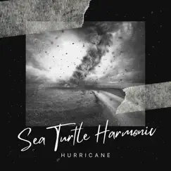 Hurricane by Sea Turtle Harmonic album reviews, ratings, credits