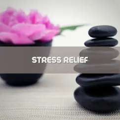 Stress Relief by Relaxing Spa Music, Meditation Music & Meditation Day album reviews, ratings, credits