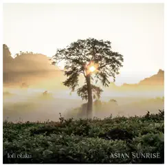 Asian Sunrise - Single by Lofi otaku album reviews, ratings, credits