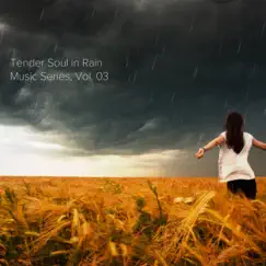 Tender Soul in Rain Music Series, Vol. 03 by Various Artists album reviews, ratings, credits