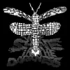 We Shine In the Darkness - Single album lyrics, reviews, download