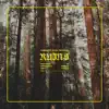 Ruins (Live) - Single album lyrics, reviews, download