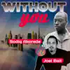 Without You (feat. Joel ball) - Single album lyrics, reviews, download