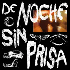 De Noche Sin Prisa - Single by Gutinho album reviews, ratings, credits