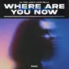 Where Are You Now - Single album lyrics, reviews, download