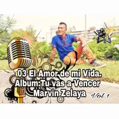 El Amor de mi Vida - Single by Marvin Zelaya album reviews, ratings, credits