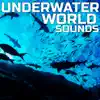 Underwater World Sounds (feat. Ocean Soundzz, OurPlanet Soundscapes, Paramount Soundscapes, Paramount White Noise, Paramount White Noise Soundscapes & White Noise Plus) album lyrics, reviews, download